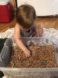 How to get your toddler to talk using sensory activities for speech therapy at home. This has great tips for parents about incorporating language development into play. #speechtherapy #speechtherapyathome #latetalker #toddleractivities #tipsforparents 