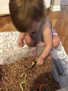 toddler using sensory bin 