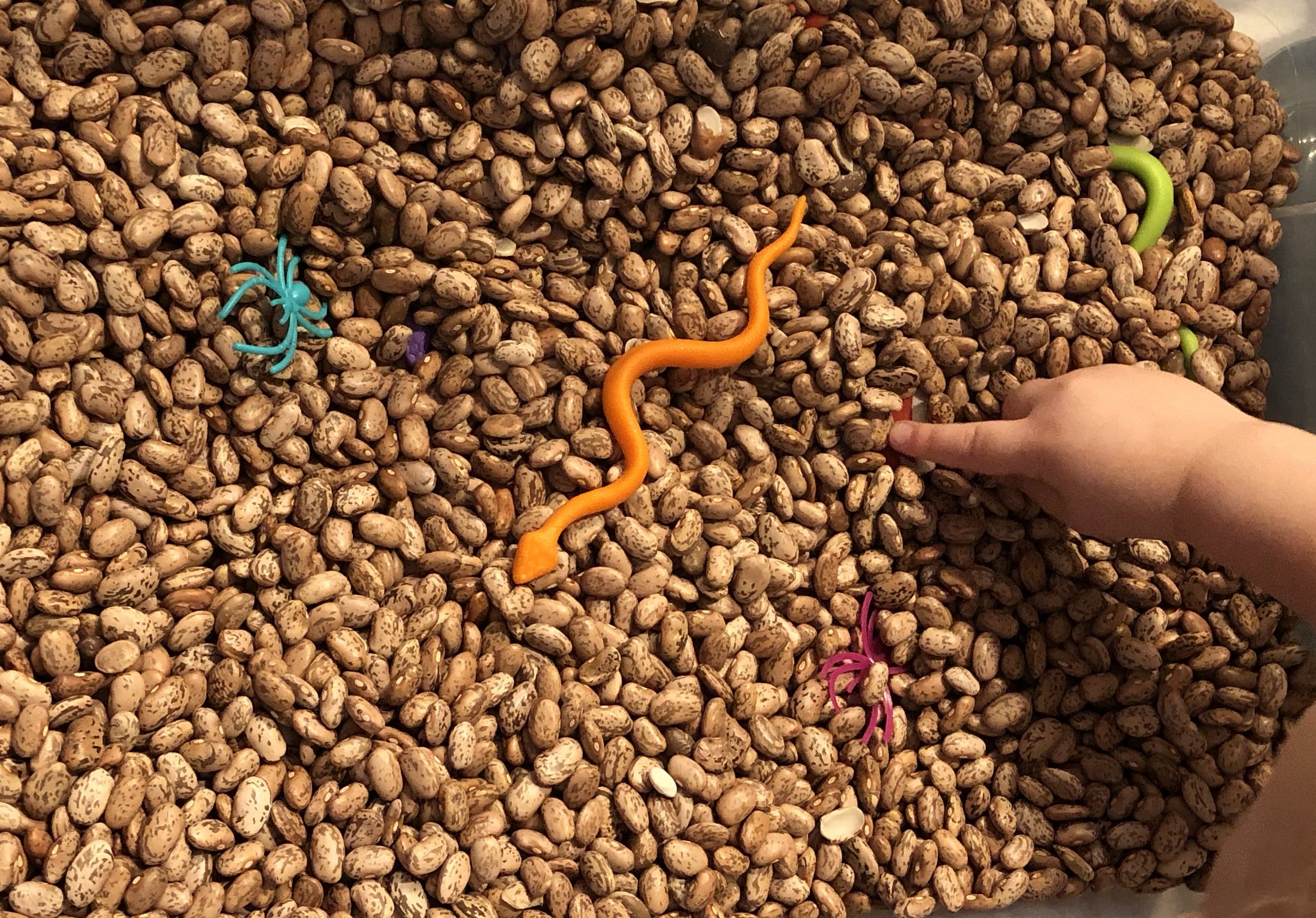 speech therapy at home to get toddler talking with sensory bin