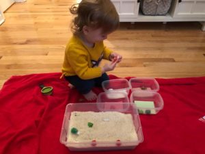 sensory bin sorting activity