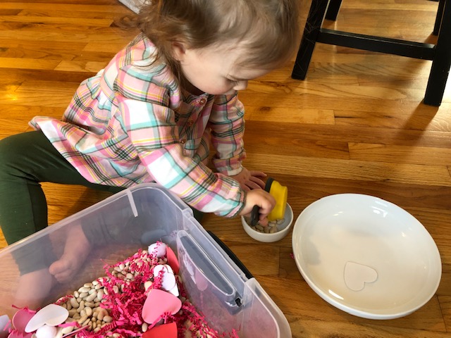 scoop and transfer activity sensory bin