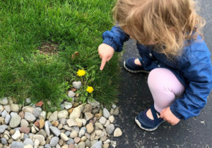 interactive play in toddler weekly schedule