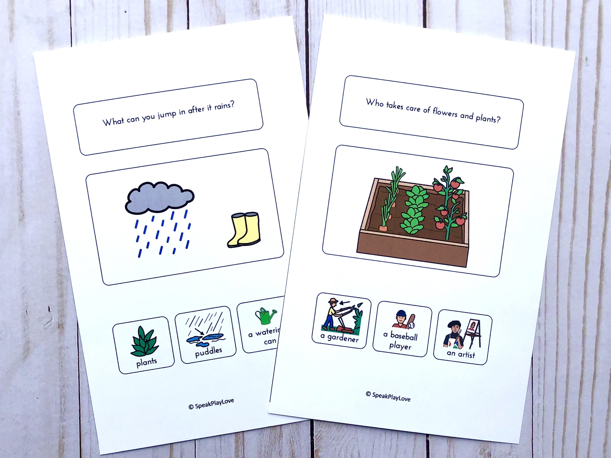 pictrue of spring wh questions speech therapy activity