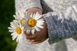 spring speech therapy themes flowers