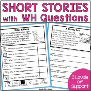 picture of short stories wh questions cover